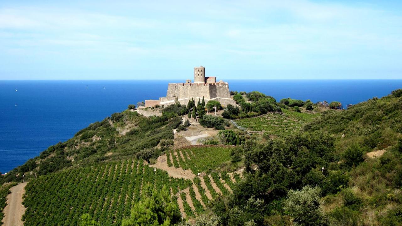 Les Hauts De Port Vendres Exterior photo